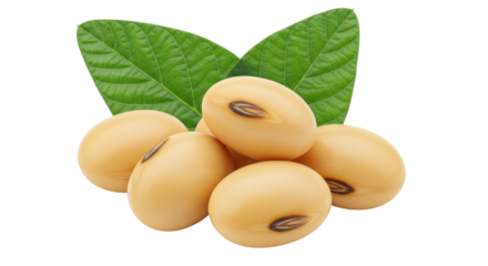 Isolated soybeans pile with leaves, edible beans, nutritious grains, and healthy agriculture