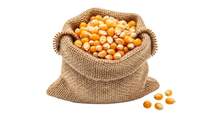 Isolated bag full of corn kernels, raw grains in burlap sack, popcorn harvest, yellow seeds
