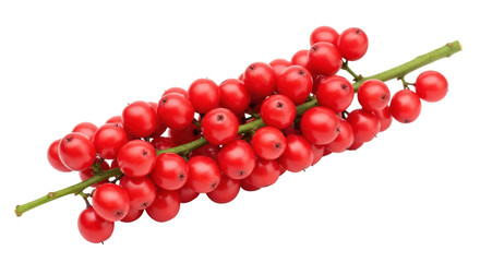 Isolated bunch of bright red berries on stems, vibrant color, in a clean studio shot, botanical nature