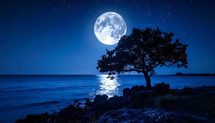 Full Moon Over Tranquil Ocean with Silhouetted Tree on Rocky Shore.