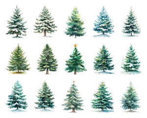 Fototapeta premium Variety of snow-covered evergreens