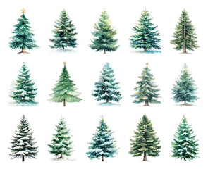 Fototapeta premium Watercolor evergreen trees winter collection.