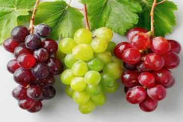 Trio of fresh grape bunches in red, green, and black with leaves on white background in high detail Generative AI