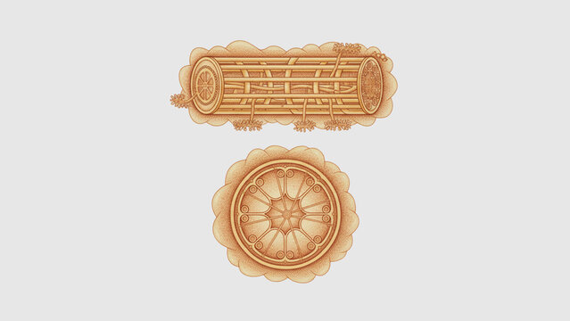  Longitudinal and Transverse View of Centriole - Detailed Isometric Illustration showing cylindrical microtubule arrangement, Nine Sets of Triplets  and Cartwheel Structure. Ideal for biology Study