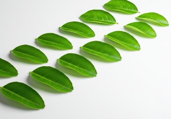 Fresh green leaves arranged in a diagonal pattern against a bright white background.