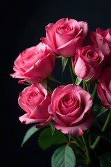 Fototapeta premium A lush bouquet of pink roses, velvety petals against a deep black backdrop , Valentine's Day, soft