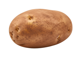 A single, whole russet potato displays its natural, earthy tones and textured skin against a stark black background.