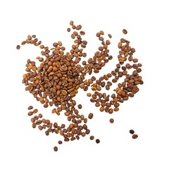 Top view of a scattered pile of aromatic coffee beans used for preparing authentic Greek, Turkish or Arabic coffee, isolated on white background.