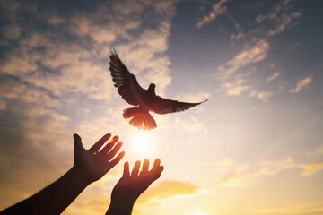 Freedom soars high, a hand releasing a dove into the sky. 