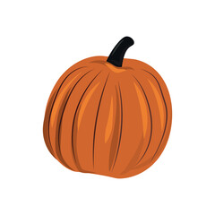 Orange pumpkin isolated on white background, harvest festival - Vector illustration