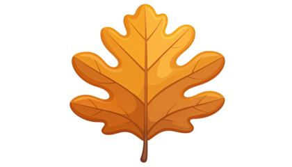 Autumn oak leaf illustration
