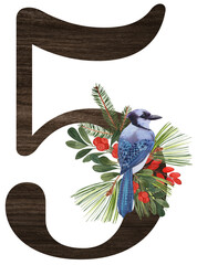 Watercolor illustration of the number 5 decorated with winter birds — cardinal, bohemian waxwing, blue jay, hoary redpoll — and Christmas plants. Perfect for monograms and festive holiday designs.
