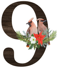 Watercolor illustration of the number 9 decorated with winter birds — cardinal, bohemian waxwing, blue jay, hoary redpoll — and Christmas plants. Perfect for monograms and festive holiday designs.