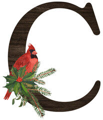 Watercolor illustration of the letter C decorated with winter birds — cardinal, bohemian waxwing, blue jay, hoary redpoll — and Christmas plants. Perfect for monograms and festive designs.
