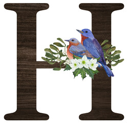 Watercolor illustration of the letter H decorated with winter birds — cardinal, bohemian waxwing, blue jay, hoary redpoll — and Christmas plants. Perfect for monograms and festive designs.