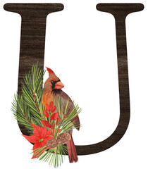 Watercolor illustration of the letter U decorated with winter birds — cardinal, bohemian waxwing, blue jay, hoary redpoll — and Christmas plants. Perfect for monograms and festive designs.