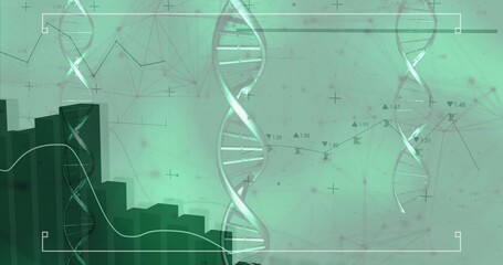 Displaying three DNA double-helix models in virtual data space with bar chart and network overlay