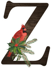 Watercolor illustration of the letter Z decorated with winter birds — cardinal, bohemian waxwing, blue jay, hoary redpoll — and Christmas plants. Perfect for monograms and festive designs.