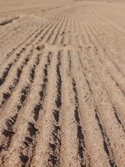 plowed field after harvest