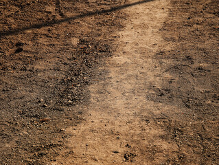 Walking path on brown ground soil background texture