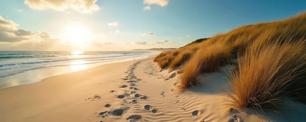 Wanddecoratie Noordzee Expansive beach landscape at sunset with golden sand dunes covered in tall grass. Gentle ocean waves meet shore under cloudy sky. Footprints mark path along coastline, suggesting tranquil journey.  © Pete