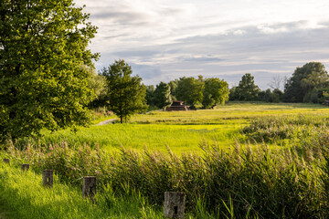 Countryside summer landscape with green fields, trees and small rustic house. Scenic rural view symbolizing agriculture, farming and natural living