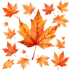 Fototapeta premium Colorful autumn leaves in various shapes and sizes.