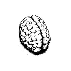 Intricate cerebral organ illustration highlighting intellect capacity with detailed human