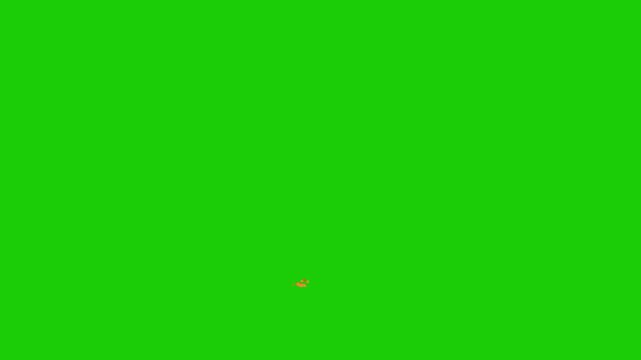 fire on green screen chroma key background