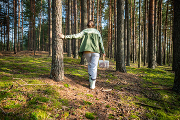 Rearview woman forager moving among conifers in woodland during fall season collecting wild fungi...