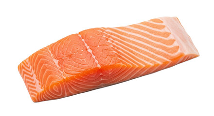 Isolated raw salmon fillet for cooking, healthy seafood delicacy for gourmet meals