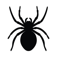 Spider silhouette vector graphic halloween arachnid creepy crawly insect design black spider art