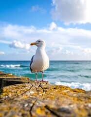 Seagull on pier, ocean view
