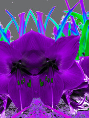 lily artistic design with purple 