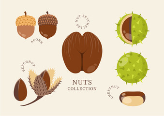 Nuts collection