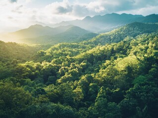 Obraz premium Lush green forest canopy draped over mountain ranges bathed in golden sunlight