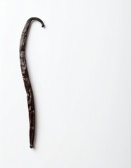 Minimalist Plant-Based Vanilla Bean on Trend Solid Color Background with Copy Space