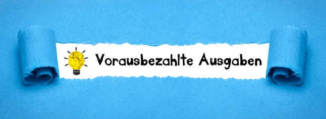 Vorausbezahlte Ausgaben	
