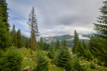 Obraz premium a beautiful mountain landscape in the Bucegi Mountains of Romania on a September day with clouds and fog.