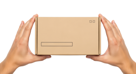 Isolated brown carton box, mockup in the hands of delivery man, package with label