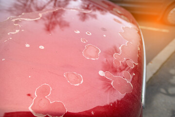 Red car hood with peeling clear coat and faded paint surface, deterioration, oxidation, scratches, and visible damage to automotive exterior finish and coating layer