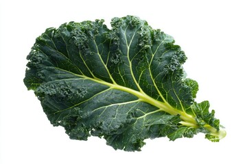 Close-up of a single kale leaf