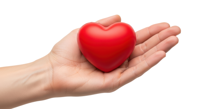 Isolated person holding red heart shape in hand showing love, charity, and healthcare