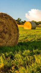 Two large hay bales in a field at sunset