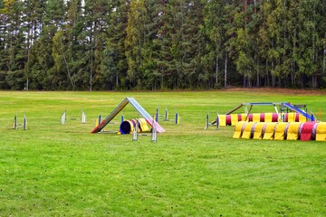 Dog training area near the forest.