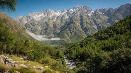 Mountain valley, alpine foliage,  snowy peaks