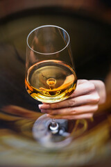 Close-up of a woman's hand holding a glass of white wine in a warm atmosphere.