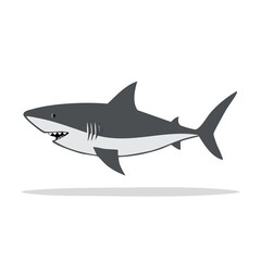 Naklejka premium Illustration of a gray shark with white underbelly, showing teeth, dorsal fin, and tail, on a white background.