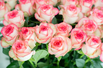 Beautiful bouquet of fresh pink roses with delicate petals, arranged closely together. Romantic floral background perfect for weddings, Valentine’s Day, anniversaries, and special celebrations