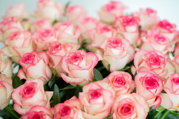 Beautiful bouquet of fresh pink roses with delicate petals, arranged closely together. Romantic floral background perfect for weddings, Valentine’s Day, anniversaries, and special celebrations